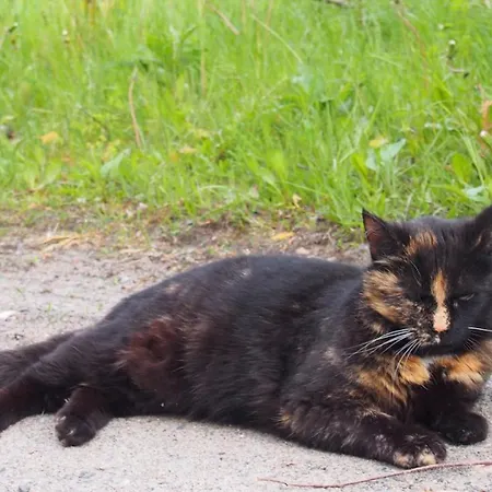 Villa Minivilla By The Sea