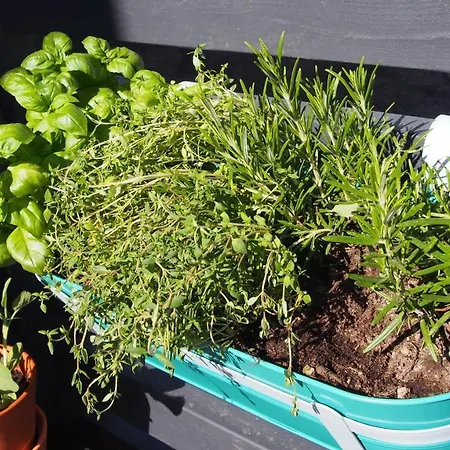 Minivilla By The Sea Villa